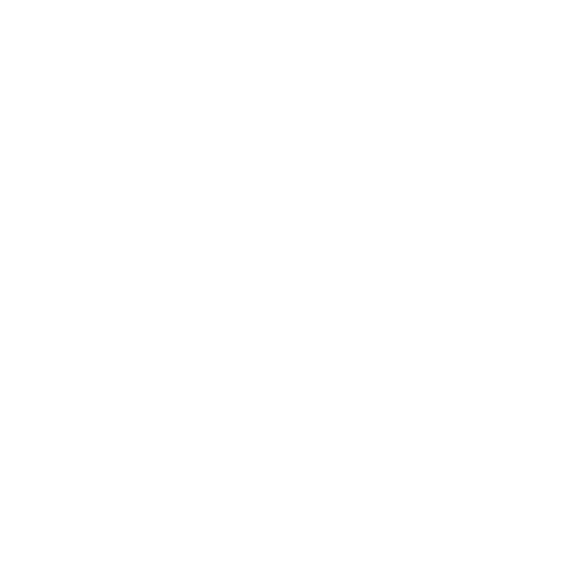 EV Houston